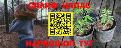 скорость Будённовск